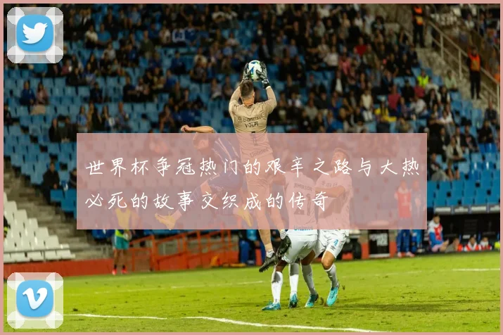世界杯争冠热门的艰辛之路与大热必死的故事交织成的传奇