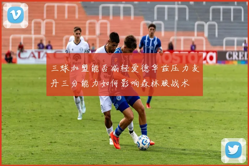 三球加盟能否减轻爱德华兹压力麦丹三分能力如何影响森林狼战术