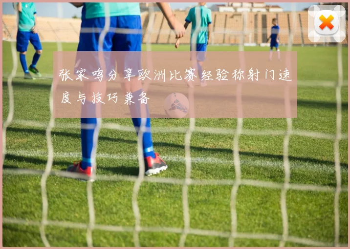 张家鸣分享欧洲比赛经验称射门速度与技巧兼备